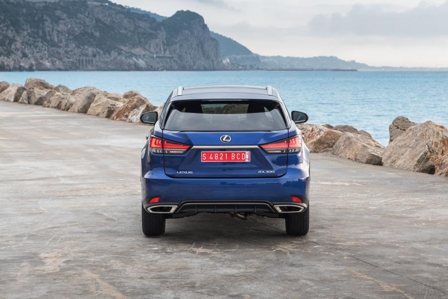  Lexus RX300 F-Sport 2019 года  (WW) (фото 37 из 80)